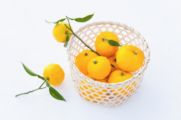 枝葉のついた柚子と竹カゴ