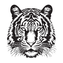 tiger, cat, animal, wildlife, white, feline, wild, mammal, bengal, predator, nature, zoo, stripes, striped, carnivore, isolated, fur, siberian, big, black, jungle, hunter