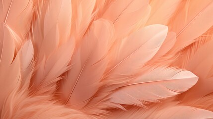 Feathers background, peach fuzz shade - obrazy, fototapety, plakaty