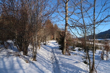 Forest path in the snow close to Wertach, Allgau, Germany
