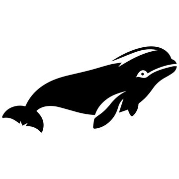 minimal Beluga whale vector silhouette black color white background