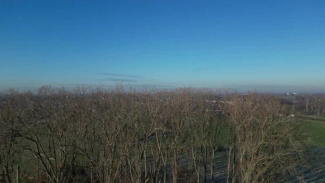 City town village reveal drone shot trees forest to fields grass drone 4k aerial