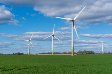 Wind turbines in a field in a rural area, with blue sky and white clouds