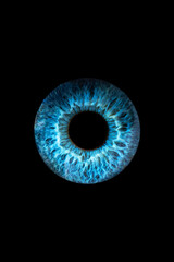 Eye iris