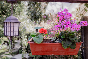 Fototapeta na wymiar Maceta con flores fucsia y rojas junto a faro de jardín