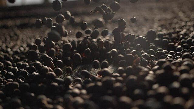 Super Slow Motion Shot of Ground Coffee and Fresh Beans Explosion Towards Camera 