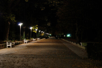 Park at night