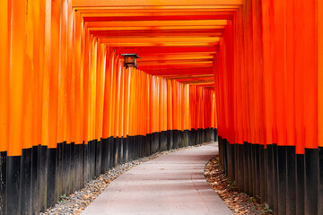 Red Torii gates in Fushimi Inari shrine in Kyoto, Japan