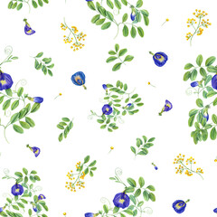 Seamless pattern with blue and yellow flowers. Thai blue flowers. Butterfly pea flowers. Tropical plant, Ipomoea, clitoria ternatea, bluebellvine. Watercolor illustration isolated on white.