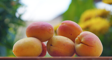 Yellow apricots are scattered on the board