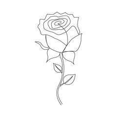 continuous Beautiful rose flower one line hand drawing Art vector illustration