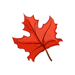 yellow maple leaf cartoon. tree foliage, color season, orange brown yellow maple leaf sign. isolated symbol vector illustration