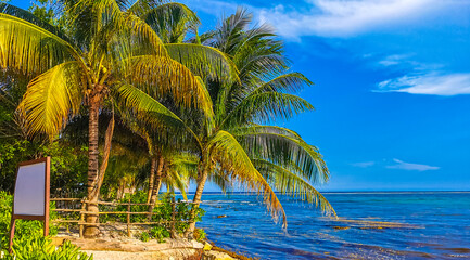 Tropical caribbean beach cenote Punta Esmeralda Playa del Carmen Mexico.