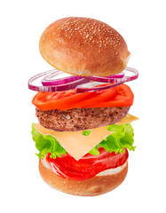 Levitation burger isolated on white background
tomato, onion, ketchup, meat, lettuce, cheese, bun