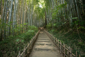 Old samurai road in the middle of a bamboo forest in Sakura, Japan.