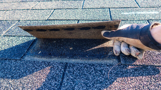 Residential roof inspection for an insurance claim due to storm damage. The asphalt shingles show signs of damage. 