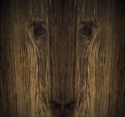 abstract wooden background with animal face