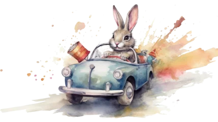 Gartenposter bunny driving a car © bmf-foto.de