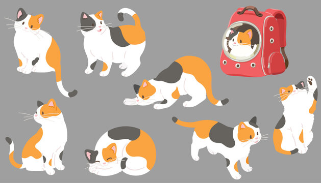 Simple and adorable illustrations of Calico Cat flat colored
