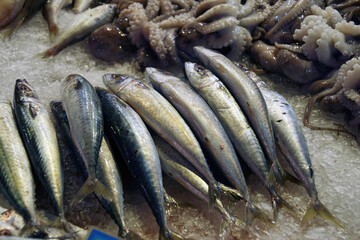 Fresh fish in the market of Chania