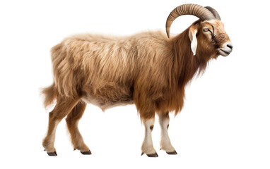 The Goat Essence Isolated on Transparent Background PNG.
