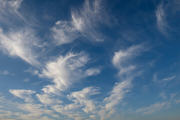 Fototapeta na wymiar morning blue sky with cirrus clouds in Cyprus 5