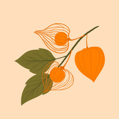 poster with a sprig of ripe physalis and leaves on a beige background.