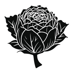 Cabbage silhouettes and icons. Black flat color simple elegant white background Cabbage vegetable vector and illustration.