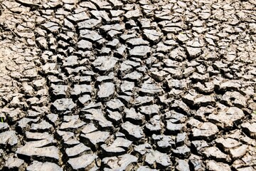 sand soil cracked in dry summer heat