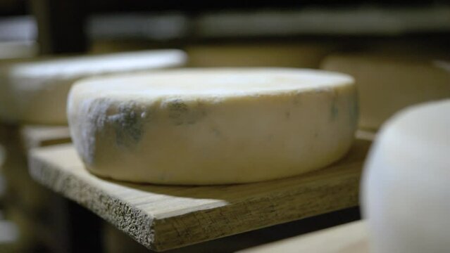 Serra Da Canastra Cheese That Is Being Cured In A Cellar