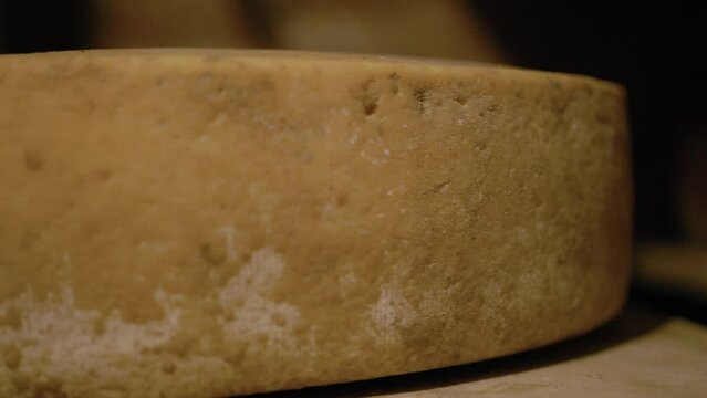 Serra Da Canastra Cheese That Is Being Cured In A Cellar