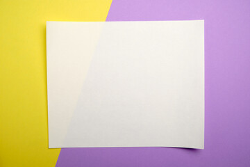 Blank sticker on a colored background