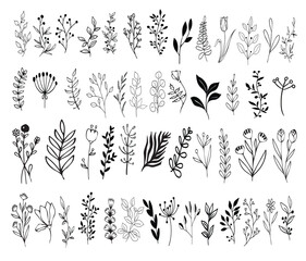 set o Leaves vector ,Leaves clipart