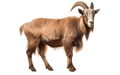 Goat Majesty Unveiled Beauty Isolated on Transparent Background PNG.
