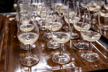Many small tasting glasses of sparkling wine champagne on winter festival in December, Avenue de Champagne, Epernay, Champagne region, France