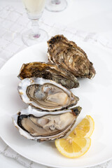 Fresh big french, dutch, pacific or japanese oysters molluscs, size number 1, served with fresh lemon, raw sea food