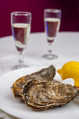 Fresh big french, dutch, pacific or japanese oysters molluscs, size number 1, served with fresh lemon, raw sea food