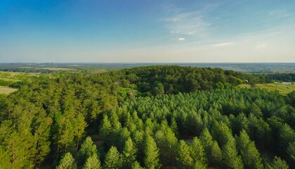 forest and tree landscape texture abstract background aerial top view forest atmosphere area texture of forest view from above ecosystem and healthy ecology environment concepts