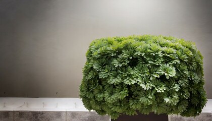 artificial fake plant bush for decoration
