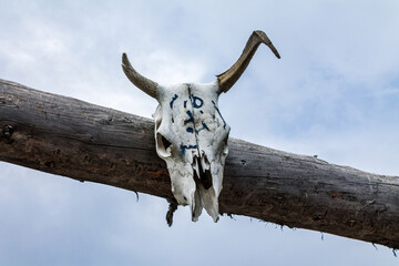 authentic animal skull on a building, cultural traditions