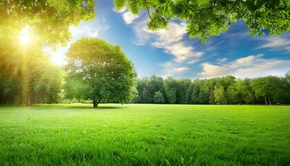 fresh air and beautiful natural landscape of meadow with green tree in the sunny day for summer background beautiful lanscape of grass field with forest trees and enviroment public park with sun ray - Powered by Adobe
