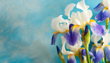 copy space on a Beautiful valentine composition spring flowers. iris blue and white, closeup