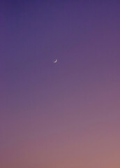 First quarter moon, with craters and surface details visible on lilac sky on sunset.