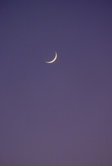 First quarter moon, with craters and surface details visible on lilac sky on sunset.