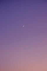 First quarter moon, with craters and surface details visible on lilac sky on sunset.