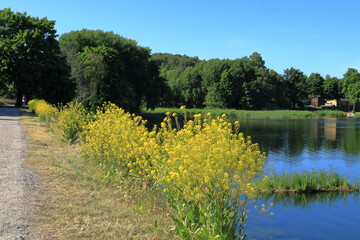One Swedish lake called Brunnsviken a summer day in June 2023. Road. Solna, Stockholm, Sweden.
