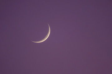 First quarter moon, with craters and surface details visible on lilac sky on sunset.