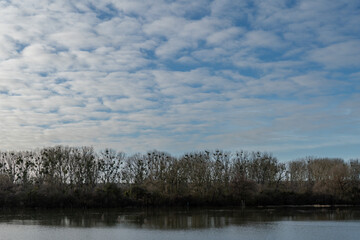 Hochwasser am Rhein in Südhessen