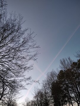 sky and tree