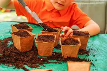 Closeup of a child's hands engaging in gardening. Kid is in process of filling biodegradable pots...